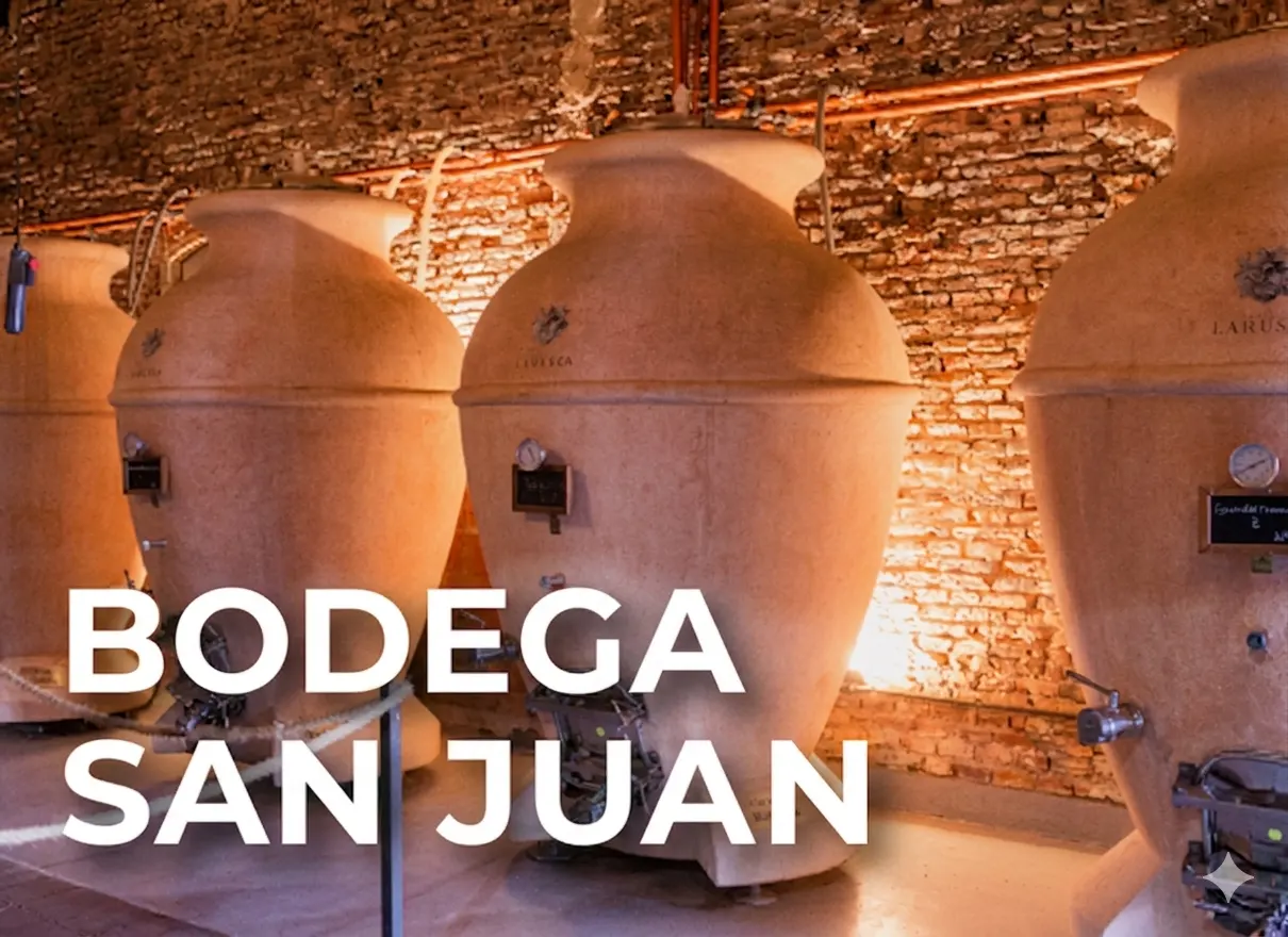 bodega-san juan-colonia
